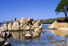 2024年巴黎奥运会有哪些值得关注的亮点和变化？